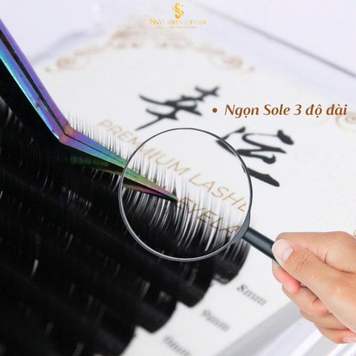 Mực Hữu Cơ Đậm Màu Chuyên Môi Loại 5 Cao Cấp